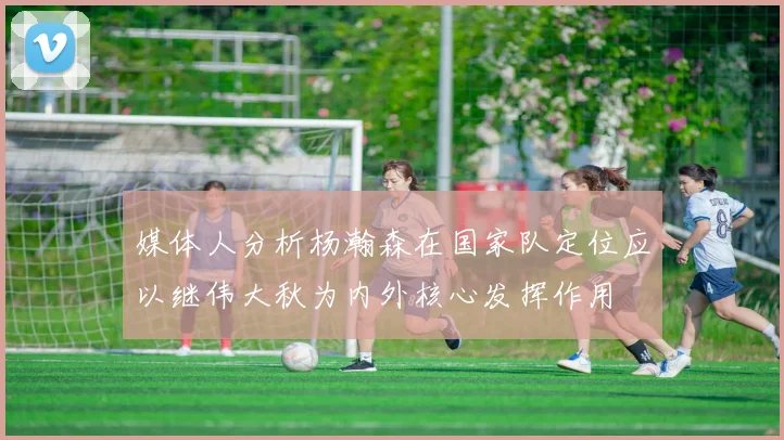 媒体人分析杨瀚森在国家队定位应以继伟大秋为内外核心发挥作用